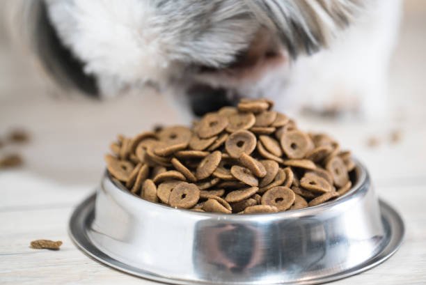 Orijen Small Breed Dog Food bag