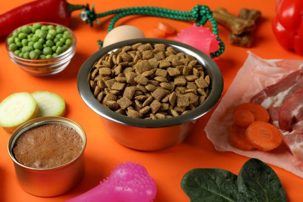 Orijen Original Dog Food: Complete Nutrition Guide