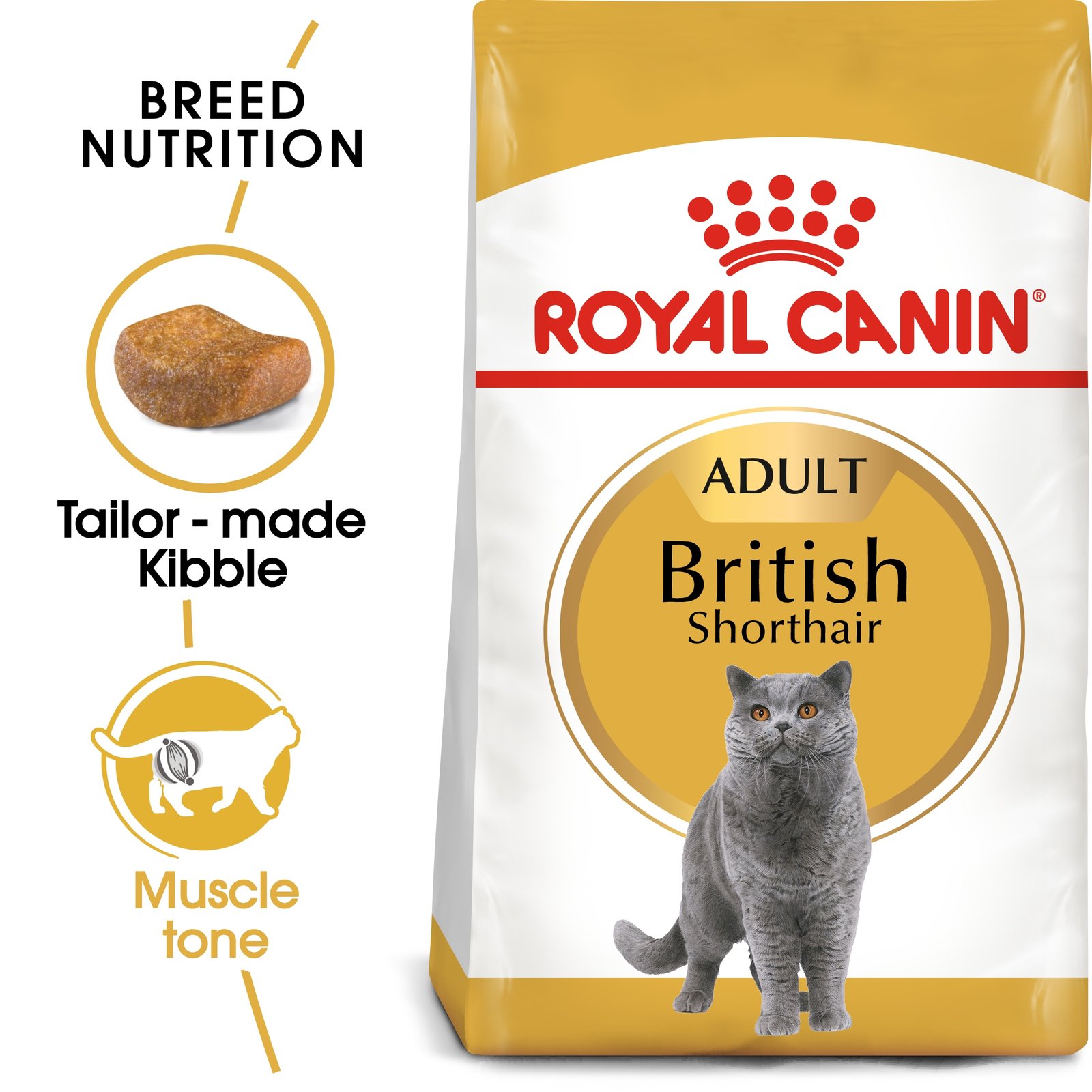 Royal Canin British Shorthair Adult Cat Food 4kg bag – breed-specific dry cat food for muscle and heart health